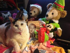 This was my beloved cat, Disney, celebrating Mr. Walt's birthday, along with Duffy (X 2) and Eeyore!